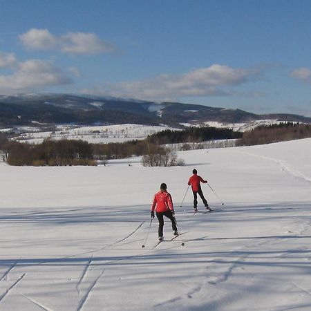 Wellness Pension Iveta Žacléř Esterno foto
