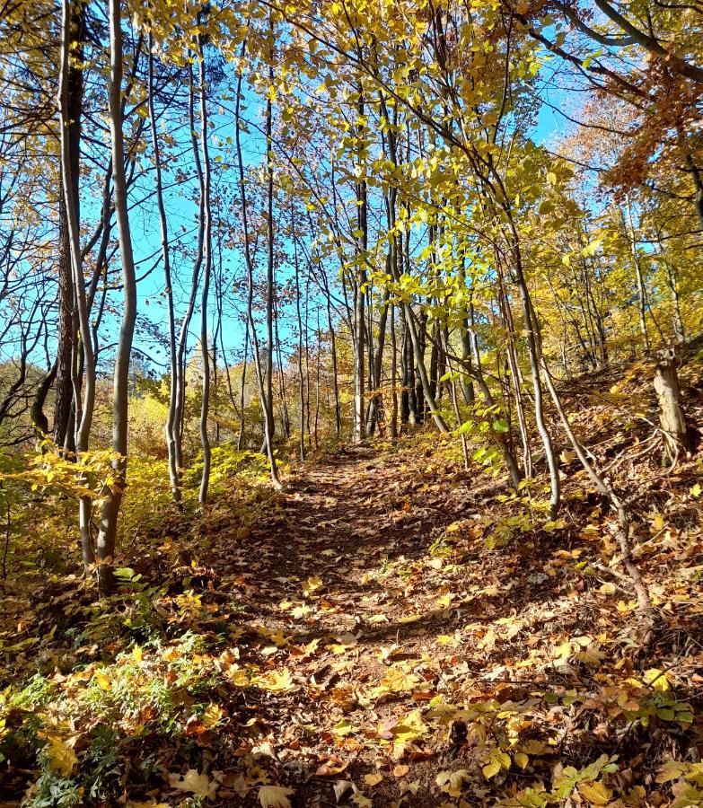 Wellness Pension Iveta Žacléř Esterno foto