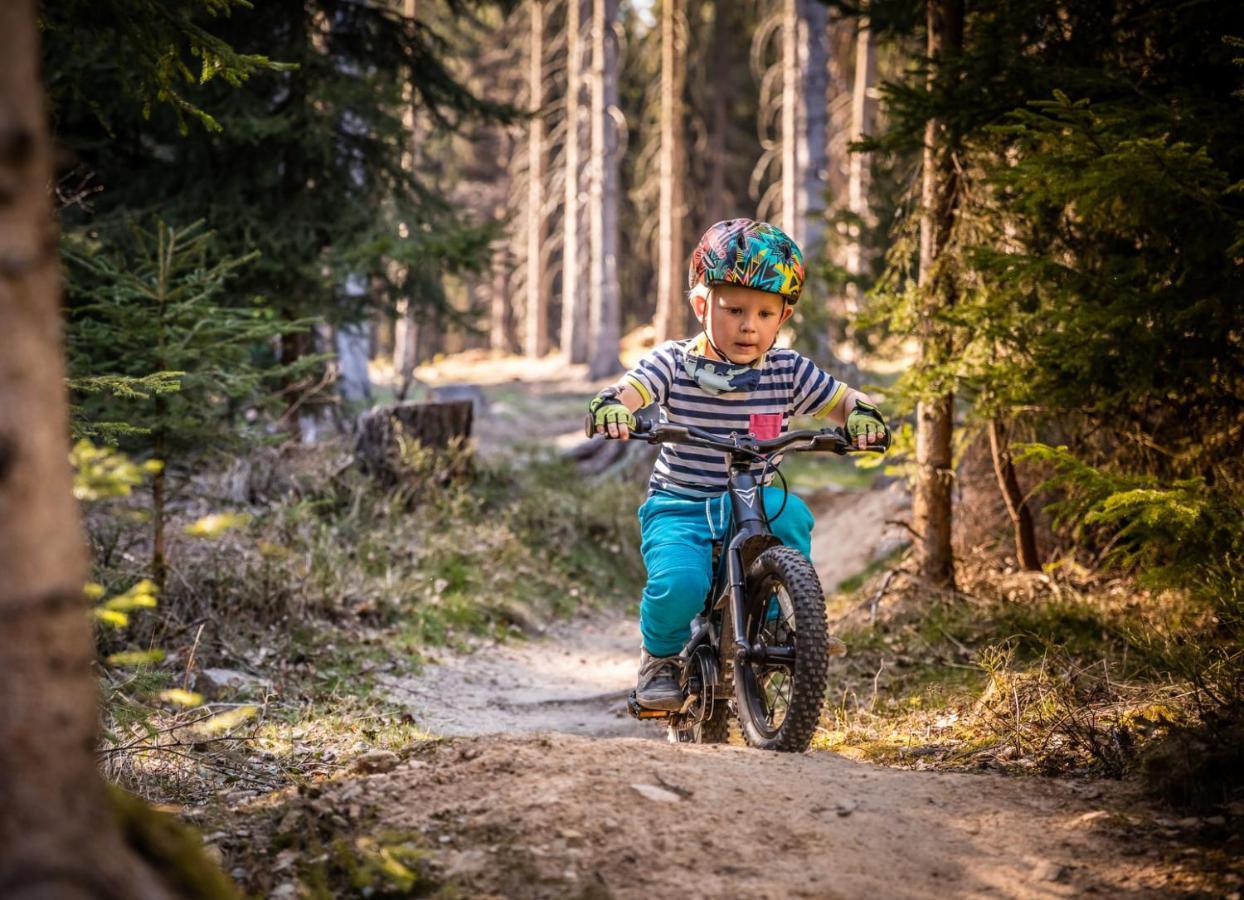 Wellness Pension Iveta Žacléř Esterno foto