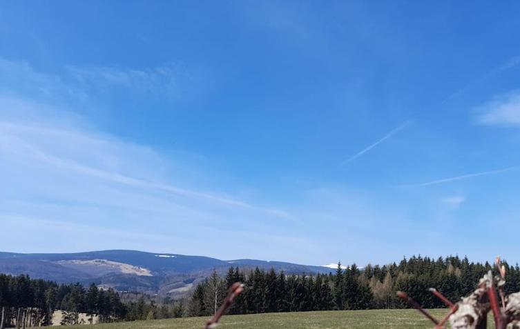 Wellness Pension Iveta Žacléř Esterno foto