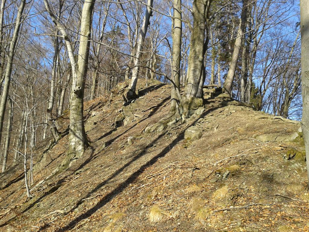 Wellness Pension Iveta Žacléř Esterno foto