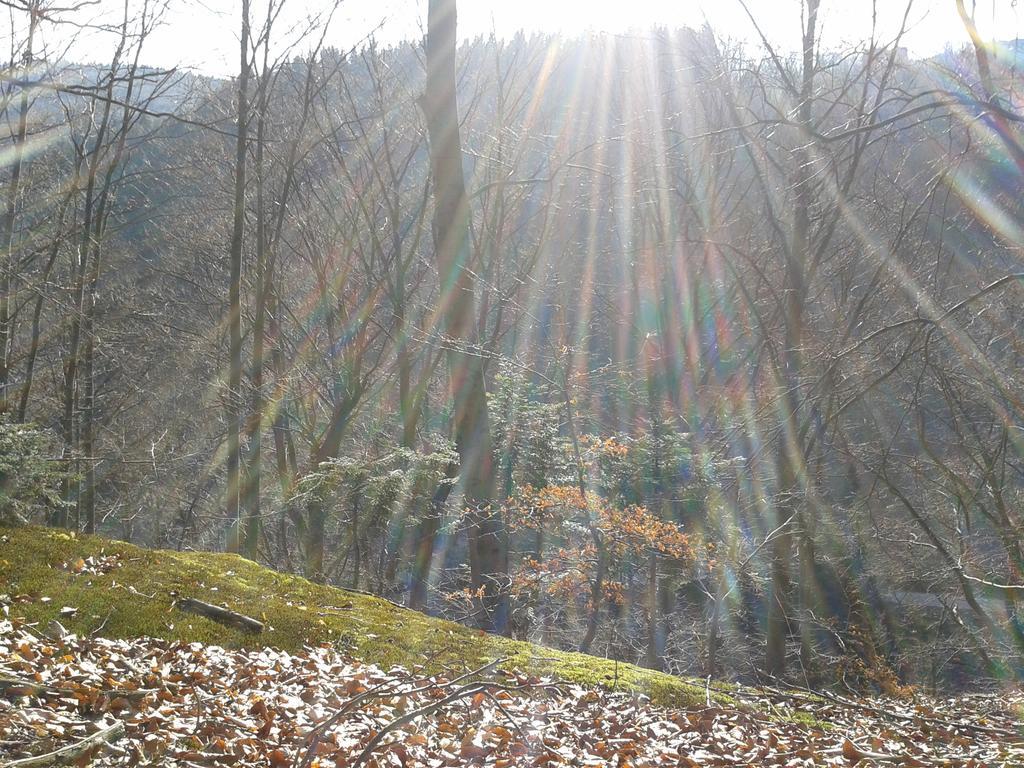 Wellness Pension Iveta Žacléř Esterno foto