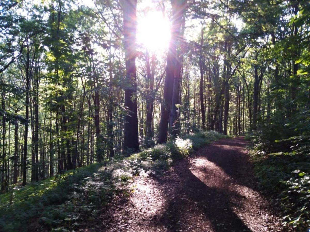 Wellness Pension Iveta Žacléř Esterno foto