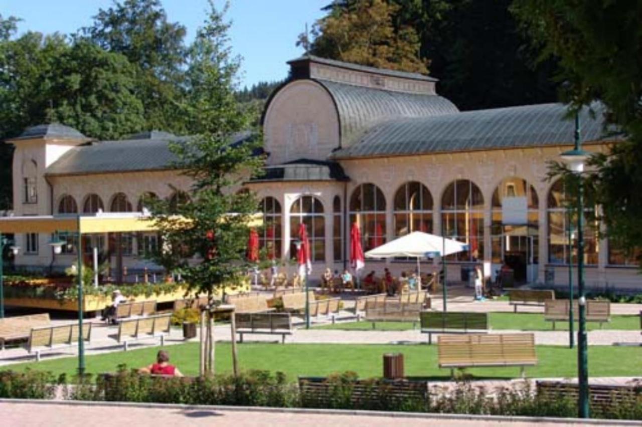 Wellness Pension Iveta Žacléř Esterno foto